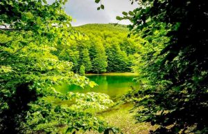 Der Nationalpark Shebenik-Jablanica beginnt im Nordosten von Librazhdi und erstreckt sich über eine Fläche von etwa 34.000 ha.