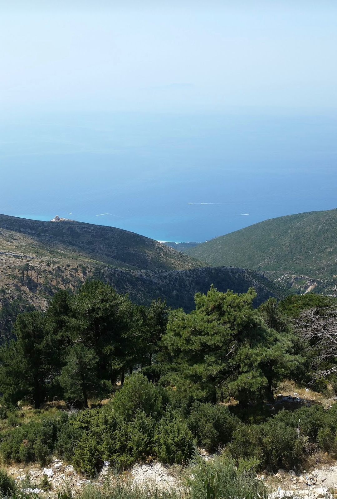 El Parque Nacional Llogara es uno de los parajes naturales más importantes del sur de Albania. Se encuentra a 40 km al sureste de la ciudad de Vlora, en la frontera entre el mar Adriático y el mar Jónico.